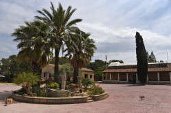 alik 
Holy Monastery of Saint Nicholas of the cats,  Akrotiri  
2020-06-23 12:00:01