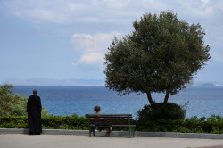 alik 
At Orthodox Academy, Chania, Crete 
2020-07-09 21:51:21