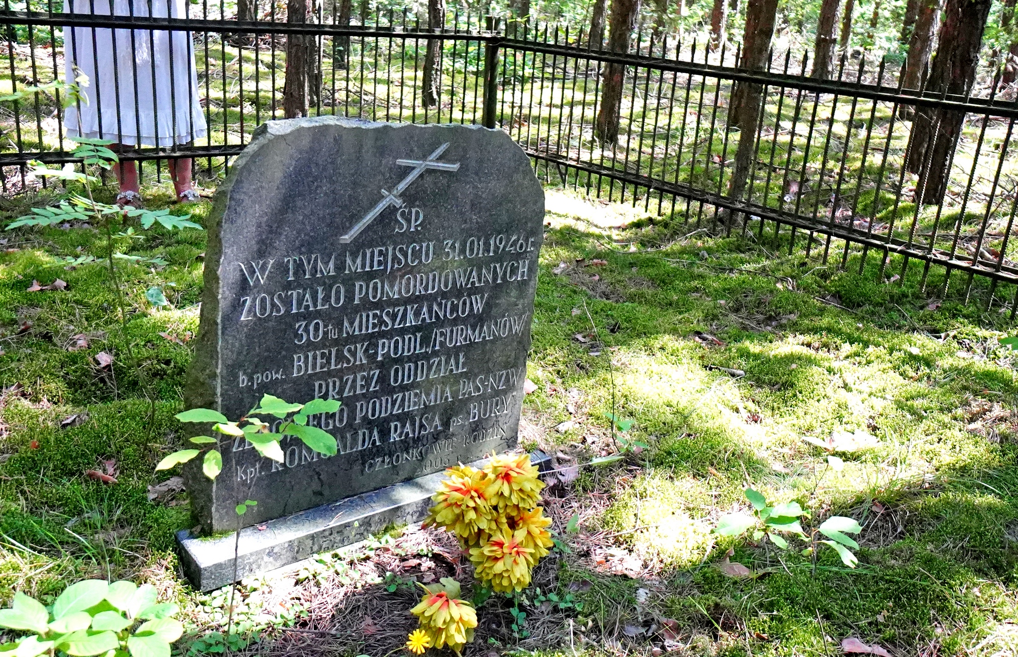 Podlasie Martyrs grave in teh wood close to Puchały Stare