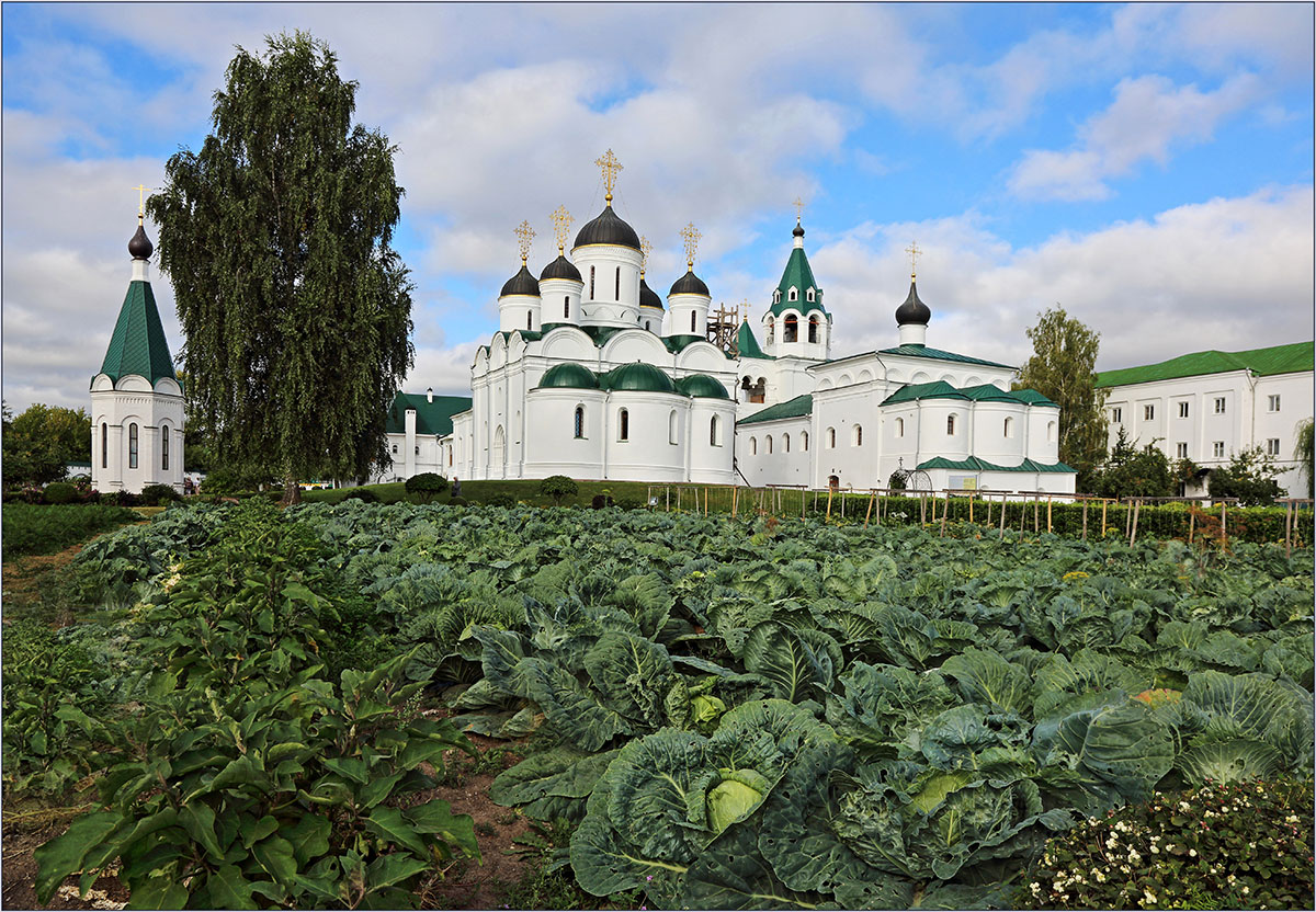 Монастырский урожай