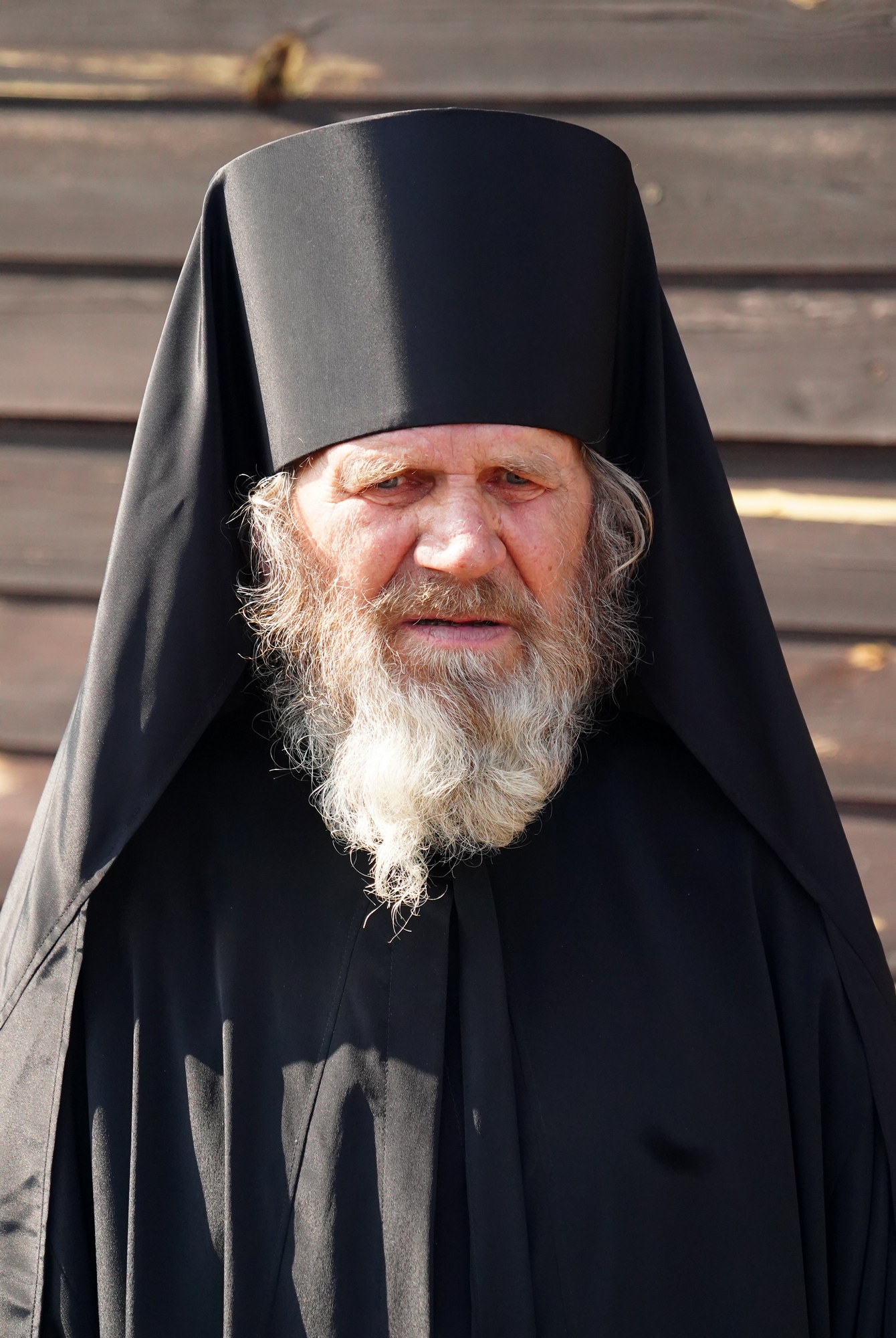 Monk Andrzej from Odrynki Skete