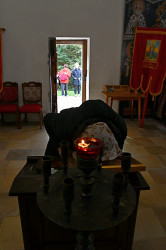 AleksaSrbin 
 
0 
2020-10-21 10:52:54