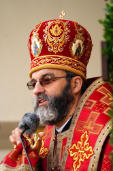 jarek 
Archbishop Jakub 
0 
2020-11-22 18:29:20
