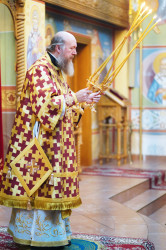 jarek 
Archbishop Grzegorz 
0 
2020-11-22 18:30:31