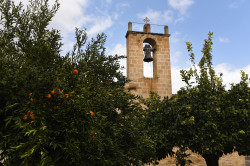 alik 
Panagia Chrysaliniotissa Church, Nicosia 
2021-02-26 15:42:29