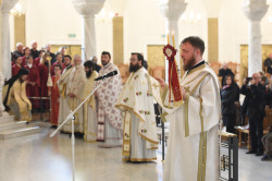 alik 
Liturgy at cathedral in Tirana 
2021-04-13 10:45:40