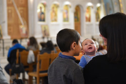 alik 
Liturgy at cathedral in Tirana 
2021-04-27 16:15:09