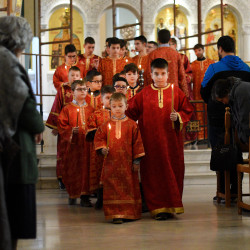 alik 
Liturgy at cathedral in Tirana 
2021-04-29 11:34:50