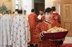 alik 
Liturgy at cathedral in Tirana 
2021-05-03 21:53:21