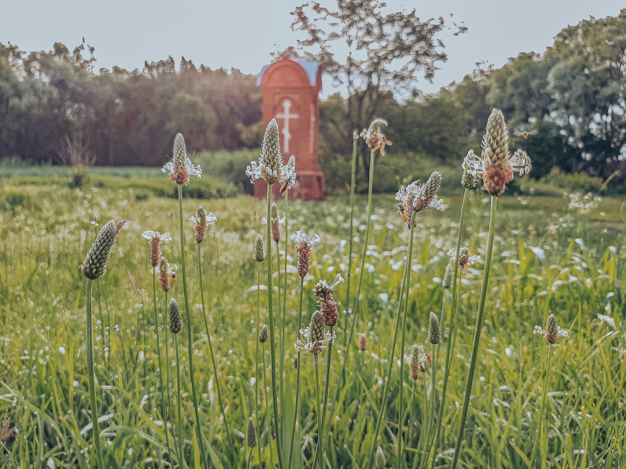 Cross in the field next to the road 