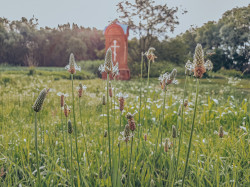 danbarchenko 
Cross in the field next to the road  
2021-06-19 11:53:38