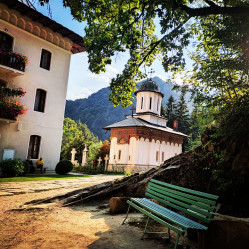 Florina 
Turnu Monastery, Vâlcea county 
15 
2021-08-17 07:21:36