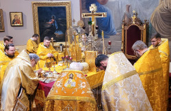 jarek11 
The priest ordination in St. Mary Magdaleny Cathedral in Warsaw 
2021-11-15 21:48:29