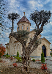 levangabechava 
The Orthodox church in Zugdidi. Georgia. 
2021-11-24 18:30:22