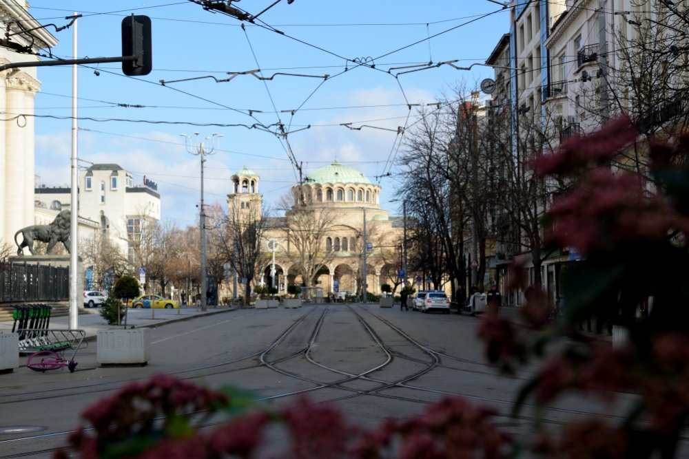 Cerkiew Święte Niedzieli, spojrzenie przez kwiatki, 2022