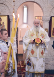 levangabechava 
Zugdidi-Tsaishi Diocese. Georgia 
2022-02-02 10:46:40
