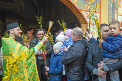 jarek 
The Palm Sunday in Zwierki Convent 
2022-04-17 19:03:16