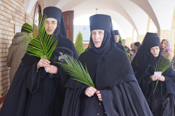 jarek 
The Palm Sunday in Zwierki Convent 
2022-04-17 19:05:24