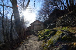 Sheep1389 
Kaplica monasterska św. Jana Rylskiego, Rila 2022 
2022-04-20 19:44:55