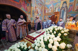 jarek11 
The vespers with taking out of the Epitaphios in Zwierki Convent 
2022-04-24 19:47:13