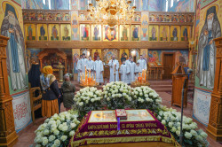 jarek11 
The Passion Saturday in Zwierki Convent 
2022-04-26 17:32:49