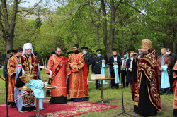 Beschieru Ioan 
Catedrala-memorial Binecredincios Voievod Ștefan cel Mare și Sfânt 
2022-05-11 11:52:42