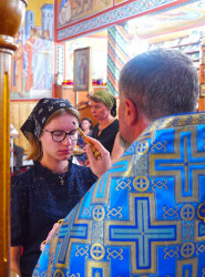 jarek11 
Dormition feast in St. Elijah the Prophet in Białystok 
2022-09-01 21:30:43
