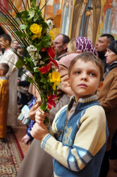 jarek1 
The Palm Sunday in Zwierki Convent 
2023-04-10 08:35:19