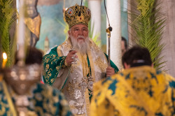 alik 
His eminence Metropolitan of Corfu, Paxoi and Diapontian Islands Nektarios  
2023-07-10 13:59:48