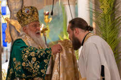 alik 
Priest Ortination - Corfu 
2023-07-12 10:38:01