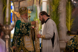 alik 
Priest Ortination - Corfu 
2023-07-12 10:38:22