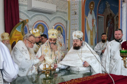 jarek 
The feast of consecration of Hagia Sophia Orthodox church in Warsaw, 2023  
2023-11-22 22:00:44