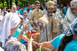 palavos