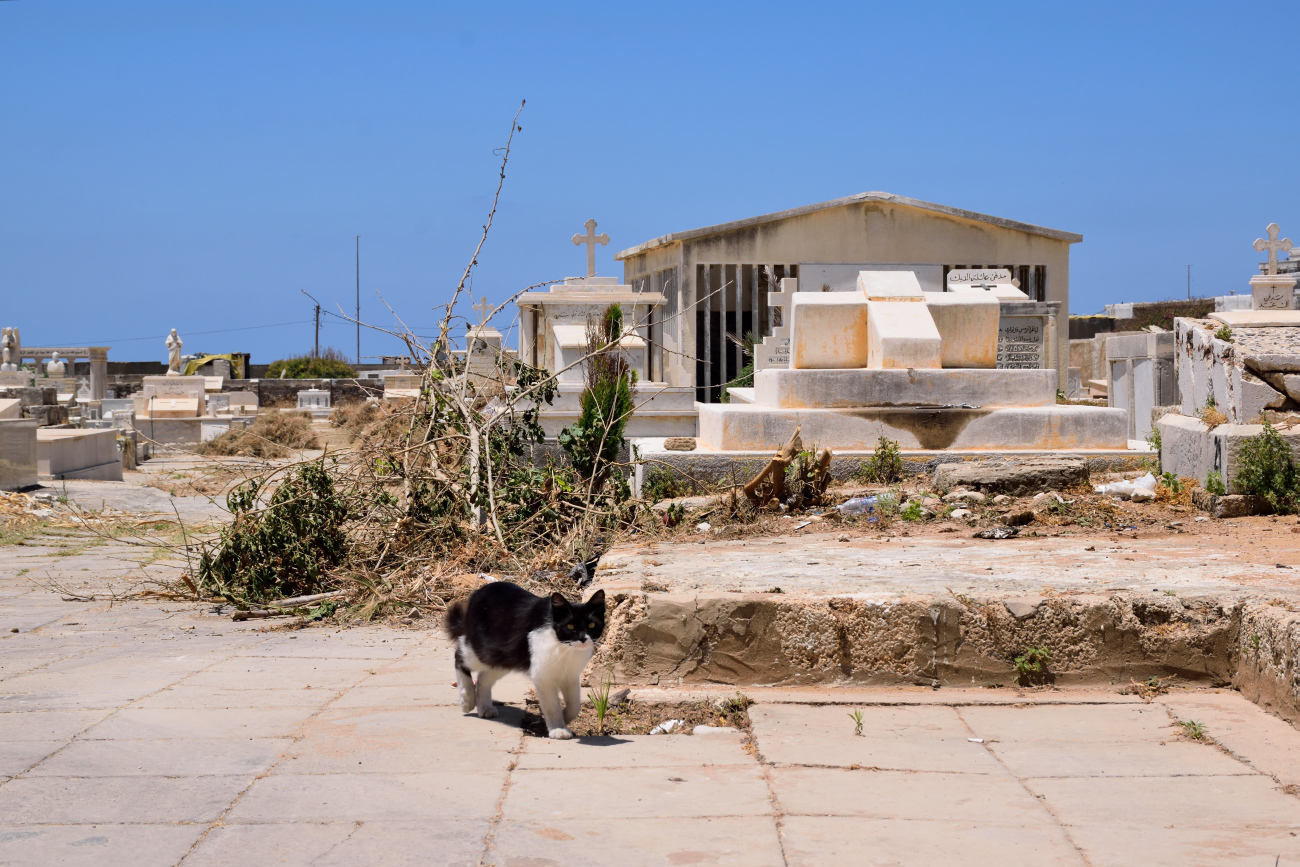 Orthodox cemetery in Tripoli (14)