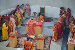 jarek 
St. Gregory (Peradze) feast in St. Gregory (Peradze) Orthodox church in Białystok 
2024-01-01 20:33:15