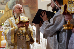 jarek 
St. Sawa feast in St. Mary Magdalene Orthodox Cathedral in Warsaw  
2024-03-03 11:16:52