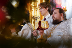 jarek 
St. Sawa feast in St. Mary Magdalene Orthodox Cathedral in Warsaw  
2024-03-03 11:18:03