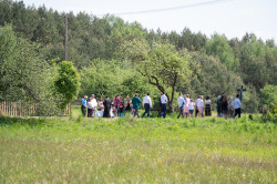 palavos 
 Święto Jana Teloga, Pawły