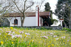 jarek 
 St. Elijah the Prophet chapel close to Philippi