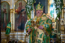 palavos 
Abp Abel 
2024-04-30 21:58:12