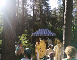 Sheep1389 
Polowa Liturgia w trakcie pielgrzymki na Grabarkę 2024 
2024-08-20 15:44:33