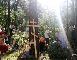 Sheep1389 
Krzyż, światłość - Liturgia polowa warszawskiej pielgrzymki 2024 
2024-08-21 18:21:19