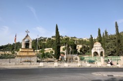 Sheep1389 
Church of the Theotokos Dormition, Jerusalem, 2023 
2024-11-05 13:35:23