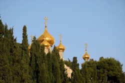Sheep1389 
Orthodox church of st. Mary Magdalene, 2023 
2024-11-15 11:54:36