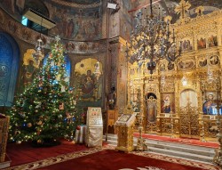 anamariaavram 
The beautiful Christmas tree of the Patriarchal Cathedral from Bucharest 
2025-01-01 13:40:30
