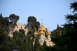 Sheep1389 
Saint Mary Magdalene church - Jerusalem 2023 
2025-01-10 11:03:30