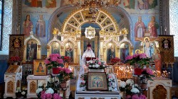 szolucha.w