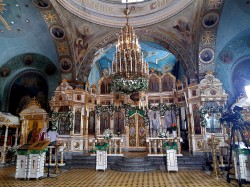 szolucha.w