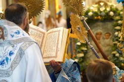 jarek 
Białostocka Icon of the Mother of God feast, 2025 
2025-07-14 18:09:56