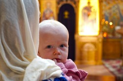 jarek1 
From Zwierki Convent life..., 2025 
2025-07-15 19:40:50
